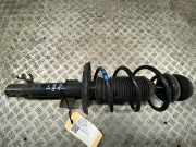 Federbein rechts vorne SKODA Citigo (AA) 1S0413031C