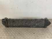 Ladeluftkühler FORD S-Max I (WA6) 1742060