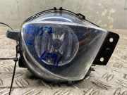 Nebelscheinwerfer links vorne BMW 3er Touring (E91) 6948373