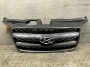 Kühlergrill HYUNDAI Santa Fe II (CM) 863532B000
