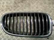 Kühlergrill rechts Gitter Niere BMW 5er Touring (F11) 7200728