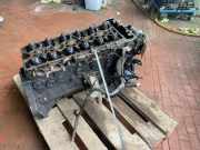 Motor ohne Anbauteile Mercedes-Benz /8 W114 1100161201
