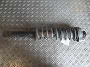 Federbein links hinten Volvo S40 I 644 30618110