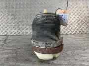 Feder hinten AUDI A6 (4F, C6) 4F0616001J