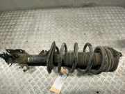 Federbein rechts vorne NISSAN Qashqai (J10) 54302BR04A
