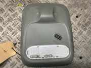 Innenleuchte RENAULT Trafic II Kasten (FL) 8200930949