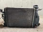 Ladeluftkühler NISSAN Qashqai II (J11) 144614ED0A 1.2 DIG-T 116 PS