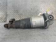 Federbein rechts hinten VW Touareg I (7L) 7L6512022E