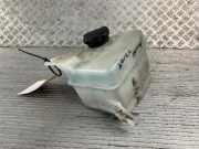 Ausgleichsbehälter HYUNDAI i20 (PB) 254301J000