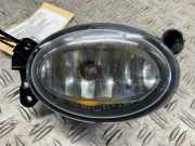 Nebelscheinwerfer links vorne MERCEDES-BENZ C-Klasse T-Modell (S204) A1698