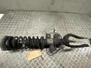 Federbein links vorne BMW 7er (F01, F02, F03, F04) 6796939