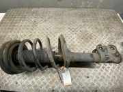 Federbein links vorne HYUNDAI Santa Fe II (CM) 546502B200