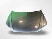 Motorhaube HYUNDAI Santa Fe II (CM) 66400-2B030 BLUE TITANIUM 6F