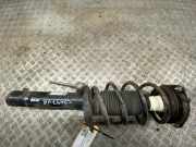 Federbein rechts vorne VW Golf VI (5K) 1T0413031HM