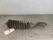 Federbein links vorne Ssangyong Rexton I GAB 4432409400