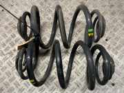 Federsatz RENAULT Trafic II Kasten (FL) 8200168005