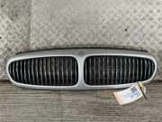 Kühlergrill JAGUAR X-Type (X400) C2S43404