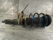 Federbein links vorne Citroen C3 II SC 9672655880