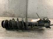 Federbein rechts vorne Opel Insignia A G09 13319746