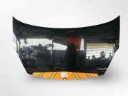Motorhaube Peugeot Partner II Kasten 7901P7