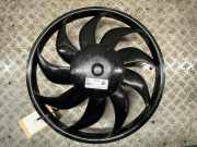 Elektrolüfter FIAT Ducato Kasten (250) 1393260080 130 2.3 D 131 PS