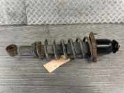Federbein links hinten Toyota Corolla Liftback E12 48530-09900