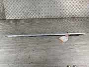 Zierleiste Mercedes-Benz S-Klasse W108, W109 OEM