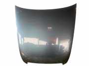 Motorhaube AUDI A6 Avant (4F, C6) 4F0823029F LZ7R Nordlichtblau