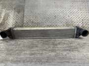 Ladeluftkühler MERCEDES-BENZ A-Klasse (W169) A1695000000