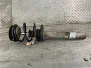 Federbein links vorne BMW 5er Touring E39 824904556568