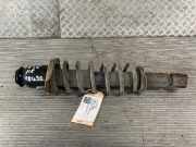 Federbein rechts hinten Toyota Corolla Liftback E12 48530-09900