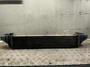 Ladeluftkühler MERCEDES E-Klasse S211 8ML376723391 E280 CDI 190 PS
