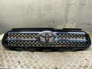 Kühlergrill TOYOTA RAV 4 III (A3) 53101-42190