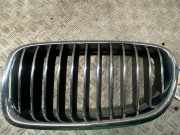 Kühlergrill links Gitter Niere BMW 5er Touring (F11) 7200727