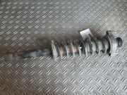 Federbein rechts hinten Volvo S40 I 644 30618110