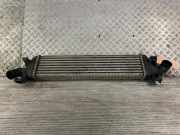 Ladeluftkühler VOLVO S40 II (544) 4N5H9L440VF