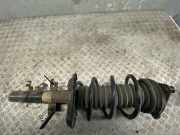 Federbein links vorne NISSAN Qashqai II (J11) 543034EA3A
