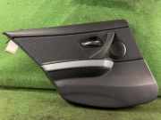 Türverkleidung links hinten BMW 3er Touring (E91) 7969239