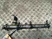 Einspritzleiste AUDI A8 (4E) 057130089K 4.2 TDI quattro 240 kW 326 PS