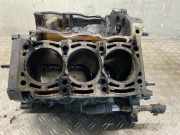 Motorblock AUDI A6 Avant (4G, C7) 059103011GT