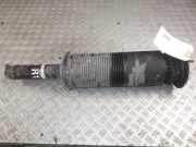 Federbein rechts vorne MERCEDES-BENZ S-Klasse (W220) S 400 CDI 184 kW 250 PS (06.2000-08.2005)