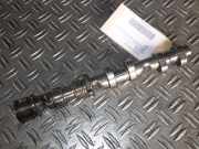 Nockenwelle Audi A6 Avant 4F, C6 06E109102AC