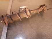 Federbein links vorne SUZUKI Swift IV (FZ, NZ)