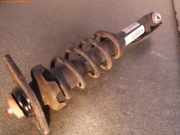 Federbein links hinten MINI Mini Countryman (R60)