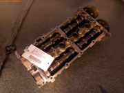 Motor ohne Anbauteile (Benzin) SKODA Fabia II Kombi (545) BTS