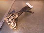 Behälter Scheinwerferwaschanlage OPEL Zafira B (A05)