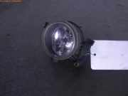 Nebelscheinwerfer links FORD Focus C-Max (C214)
