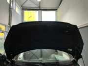 Motorhaube PEUGEOT 308 CC