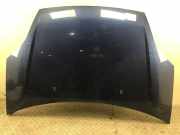 Motorhaube blau FORD Fiesta V (JH, JD) 1.3 i 51 kW 69 PS (11.2001-06.2008) K