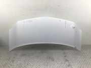 Motorhaube Renault Kangoo II Rapid FW0